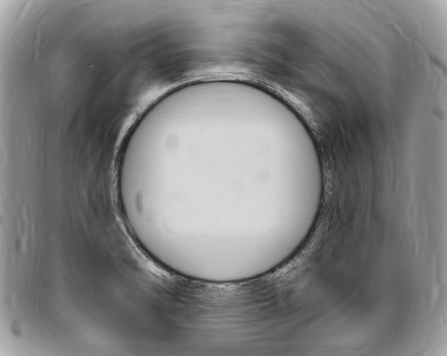X0000096971470200802080912