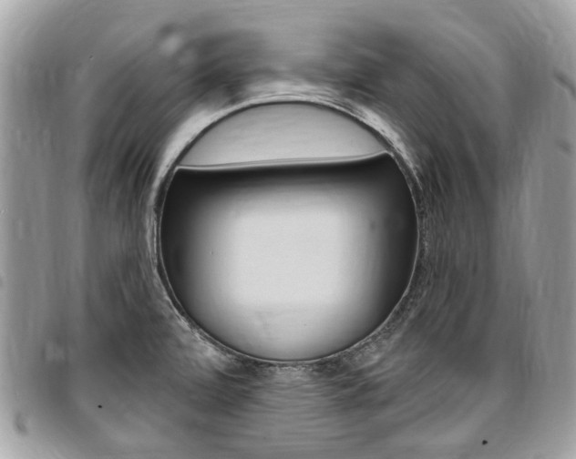 X0000096971472200802080912