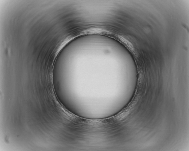 X0000096971473200802080912