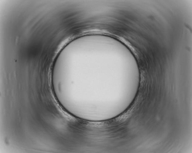 X0000096971474200802080912