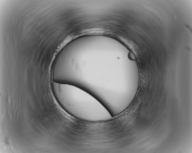 X0000096971475200802080912