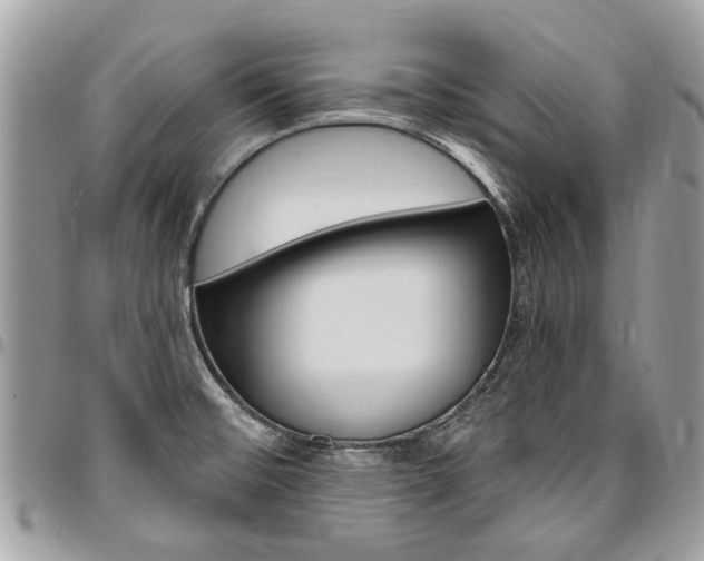 X0000096971476200802080912