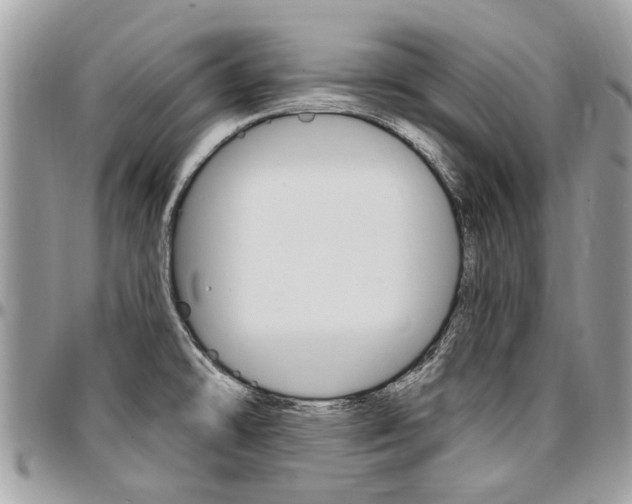 X0000096971478200802080911