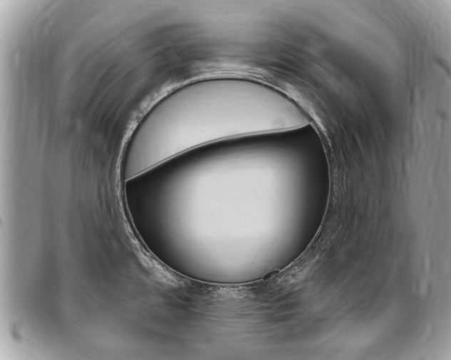 X0000096971480200802080911
