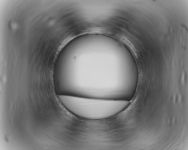 X0000096971481200802080911