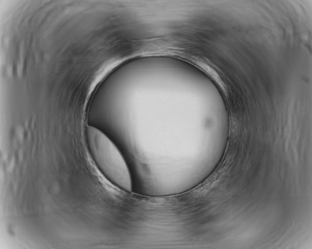 X0000096971485200802080911