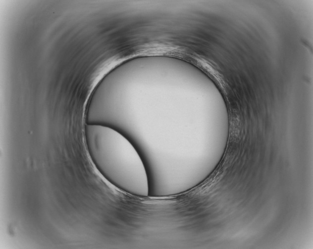X0000096971487200802080911