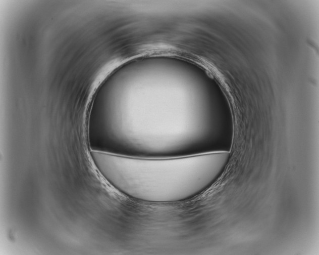 X0000096971488200802080911