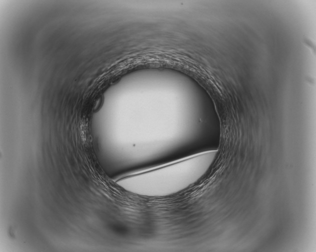 X0000096971490200802080911