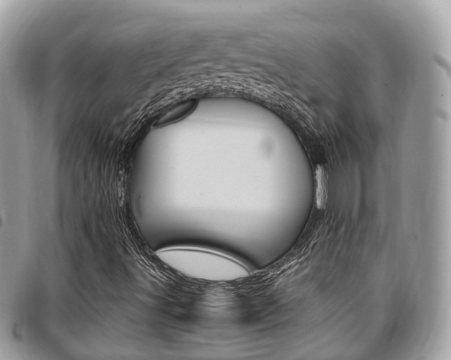 X0000096971491200802080911