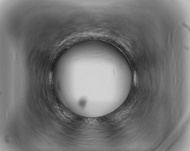 X0000096971492200802080911