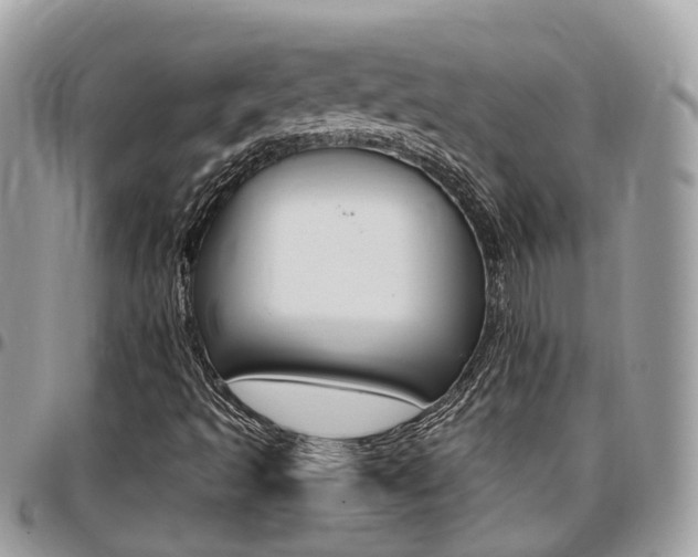 X0000096971493200802080911