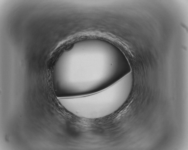 X0000096971494200802080911