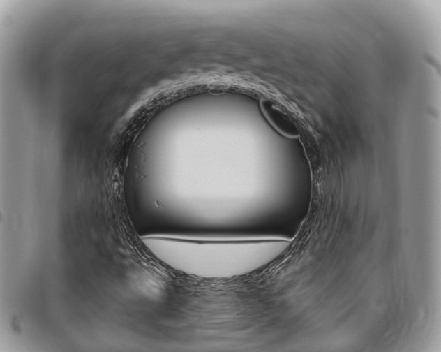 X0000096971495200802080911