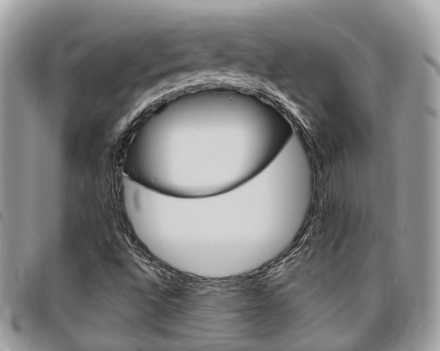 X0000096971496200802080911