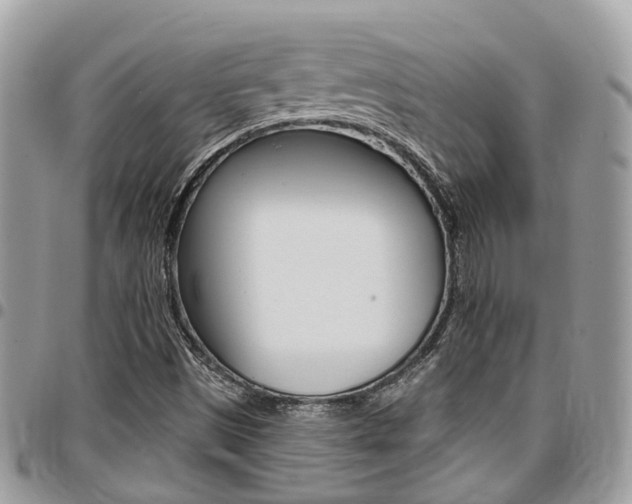 X0000096971497200802080911