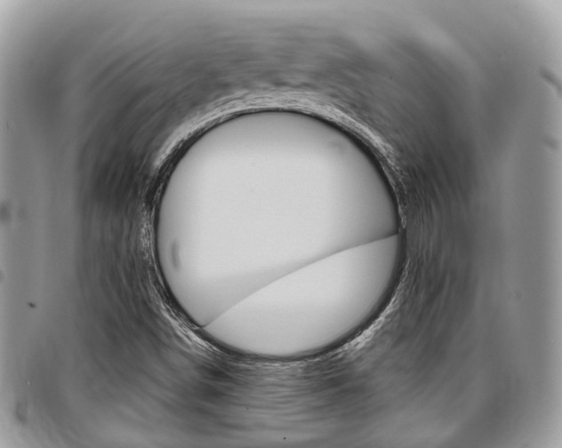 X0000096971498200802080911