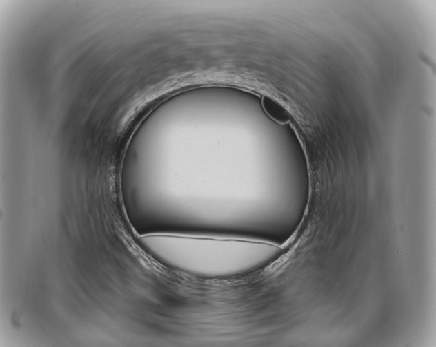 X0000096971499200802080911