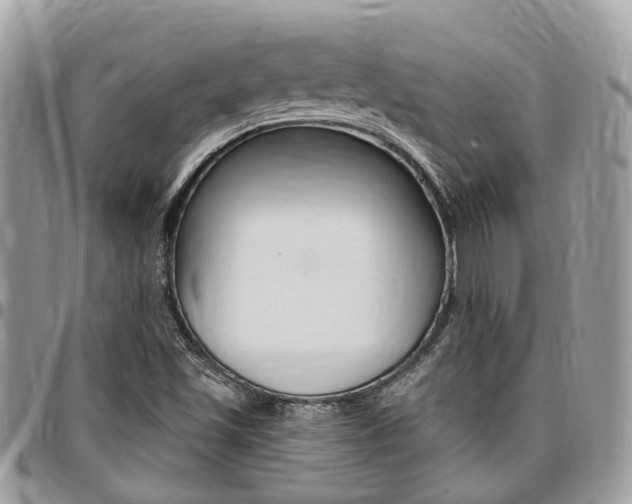 X0000096971501200802080911
