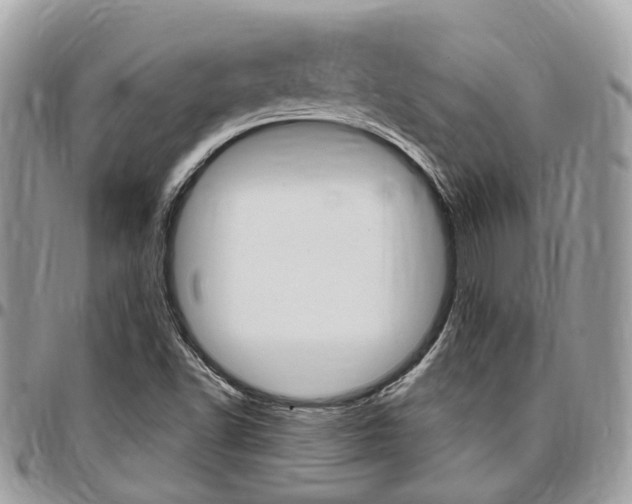 X0000096971502200802080911