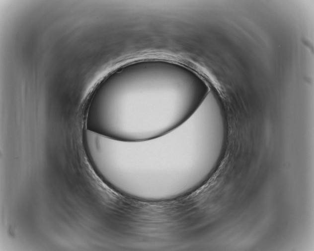 X0000096971504200802080911