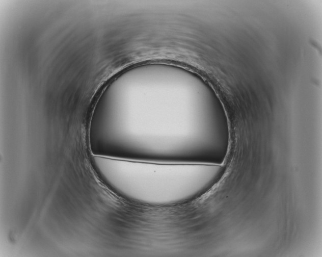 X0000096971505200802080911