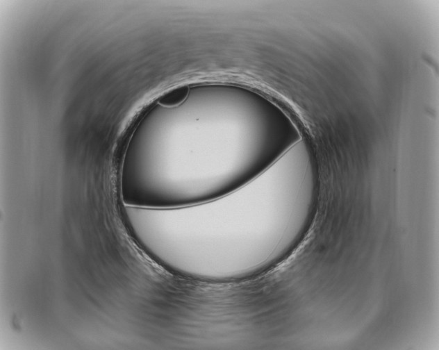 X0000096971506200802080911