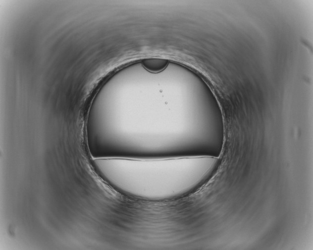X0000096971507200802080911