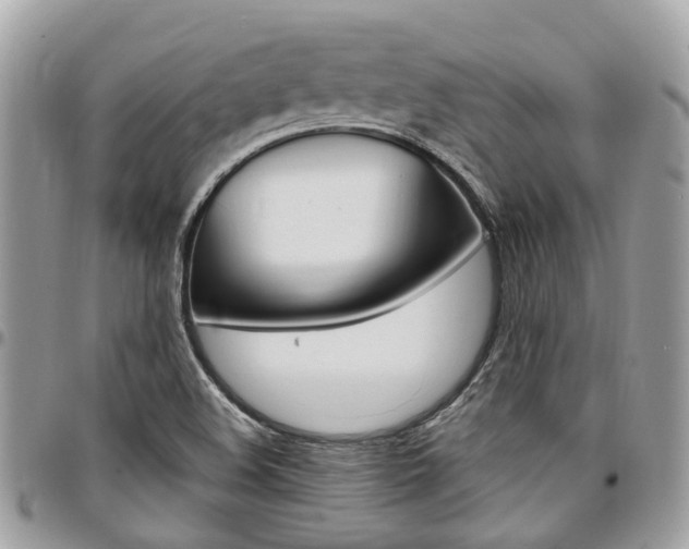 X0000096971508200802080911
