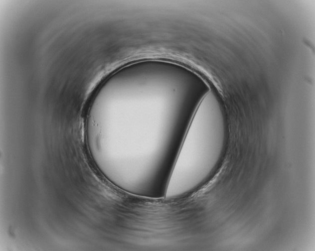 X0000096971509200802080911