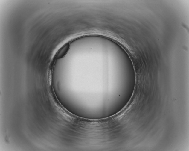 X0000096971510200802080911