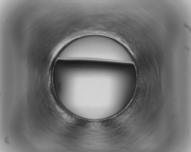 X0000096971511200802080911
