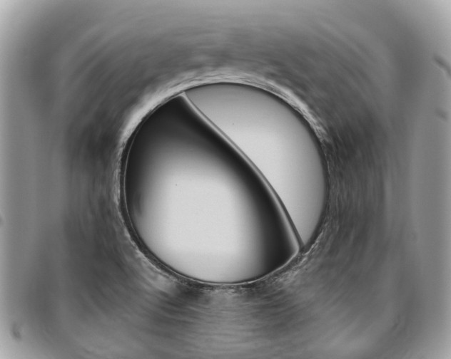 X0000096971512200802080911