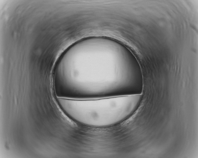 X0000096971517200802080911