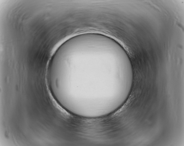 X0000096971518200802080911