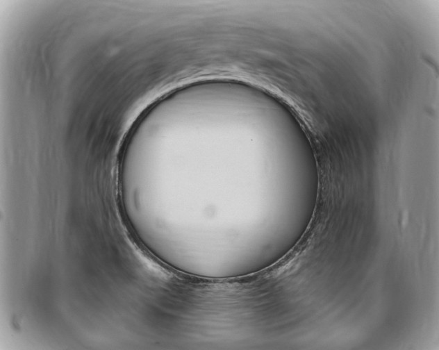 X0000096971519200802080911