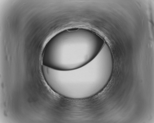 X0000096971520200802080911