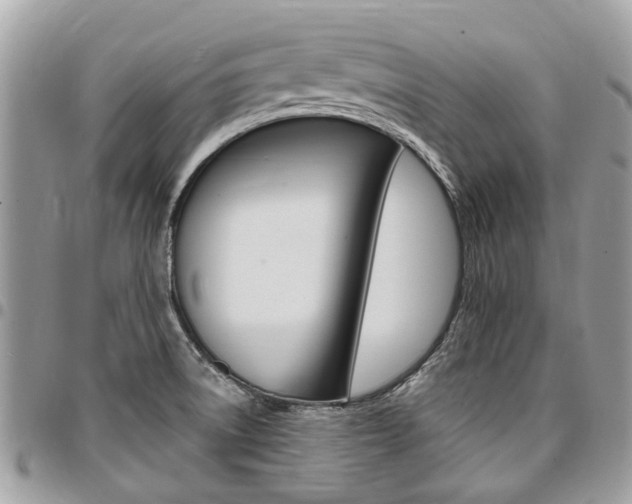 X0000096971522200802080911