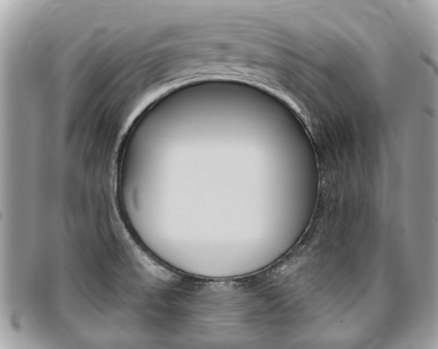 X0000096971523200802080911