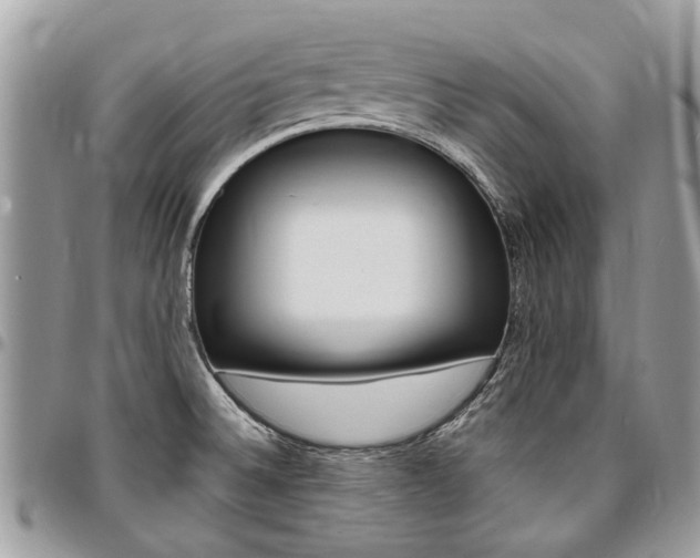 X0000096971524200802080911