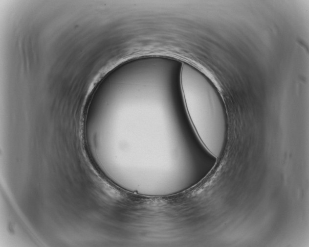 X0000096971525200802080911