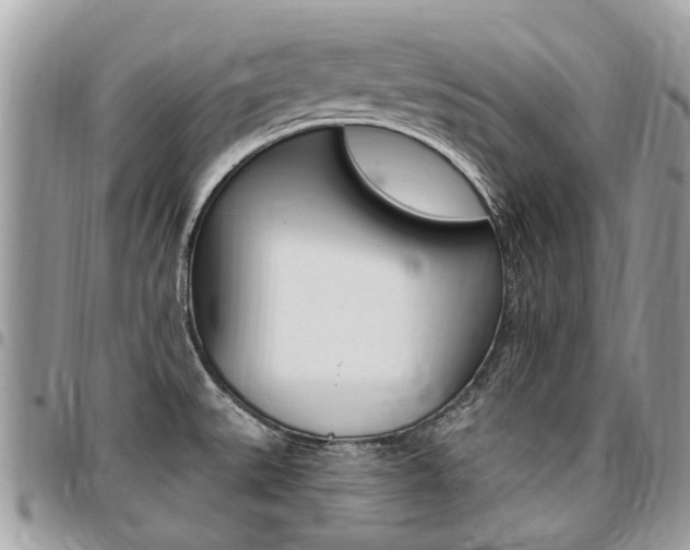 X0000096971527200802080911