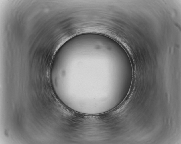X0000096971529200802080911