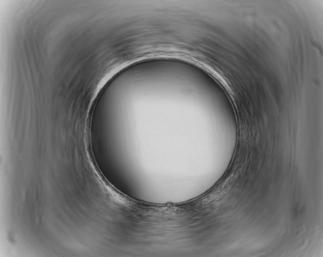 X0000096971533200802080911