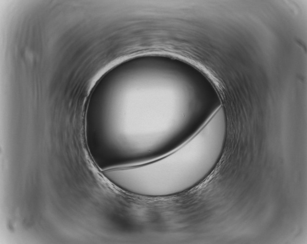 X0000096971534200802080911