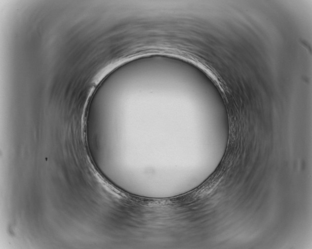 X0000096971535200802080911