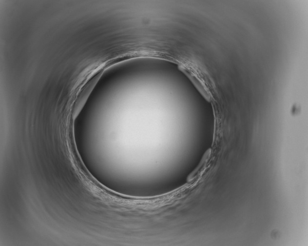 X0000096970001200802081303