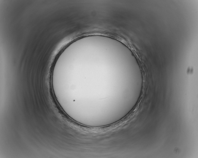 X0000096970006200802081302