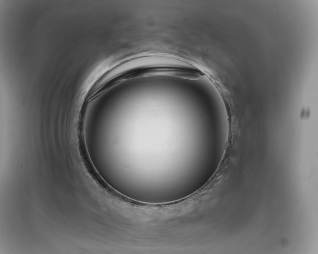 X0000096970007200802081302