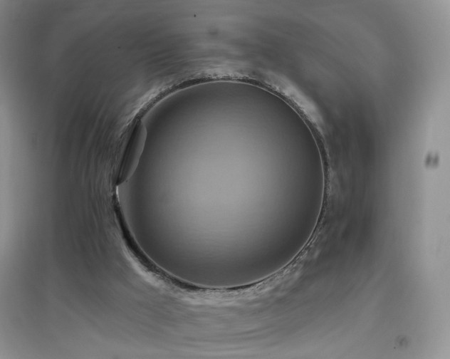 X0000096970009200802081302